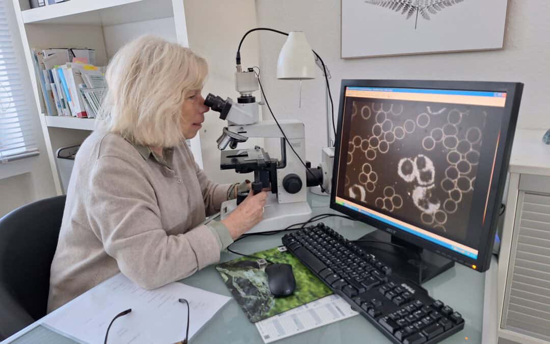 Dunkelfeld Diagnostik – Seminarabend