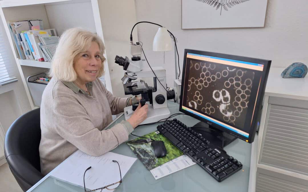 Dunkelfeld Diagnostik – einführungsabend